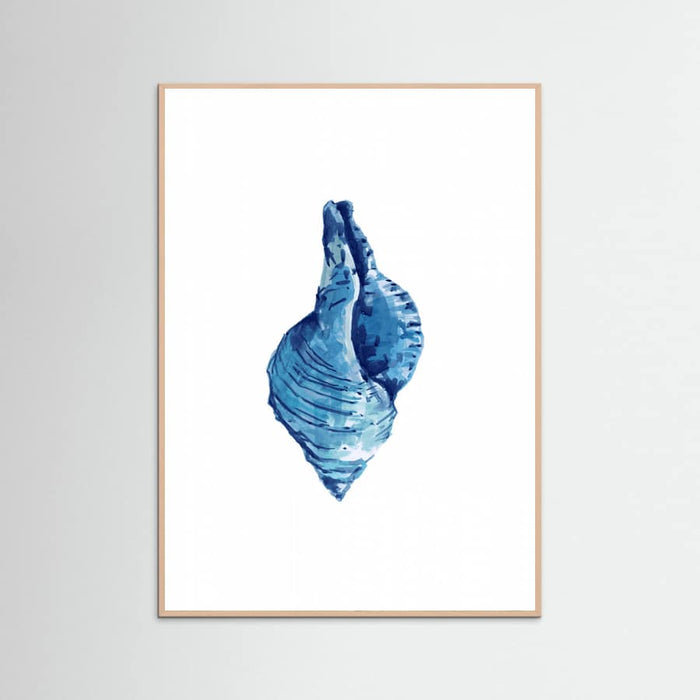 Affiche Blue Seashell On White Background No3 – affiche et impression d’art