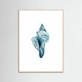 Blue Seashell On White Background No4 Poster – poster och konsttryck