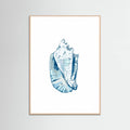Blue Seashell On White Background No6 Poster – plakat og kunsttryk