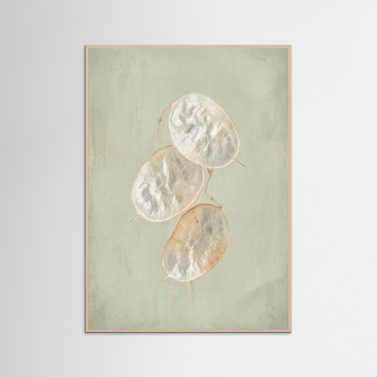 Rose Wood Blush Bloom