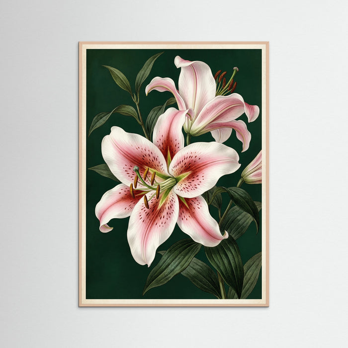 Rose Wood Blushing Peony Blossom