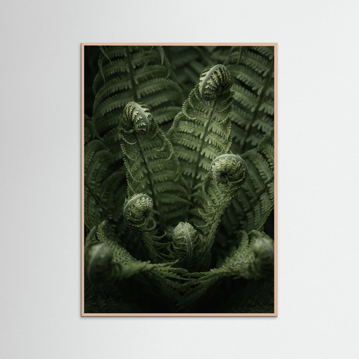 Rose Wood Botanical Depths