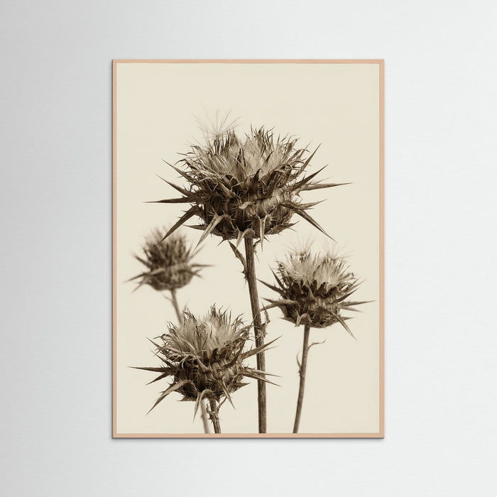 Rose Wood Botanical Elegance
