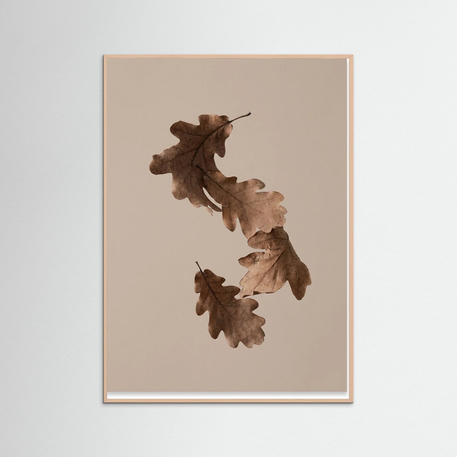 Rose Wood Botanical Forms