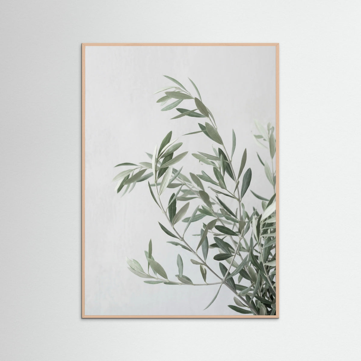 Rose Wood Botanical Grace