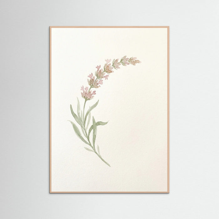 Rose Wood Botanical Whisper