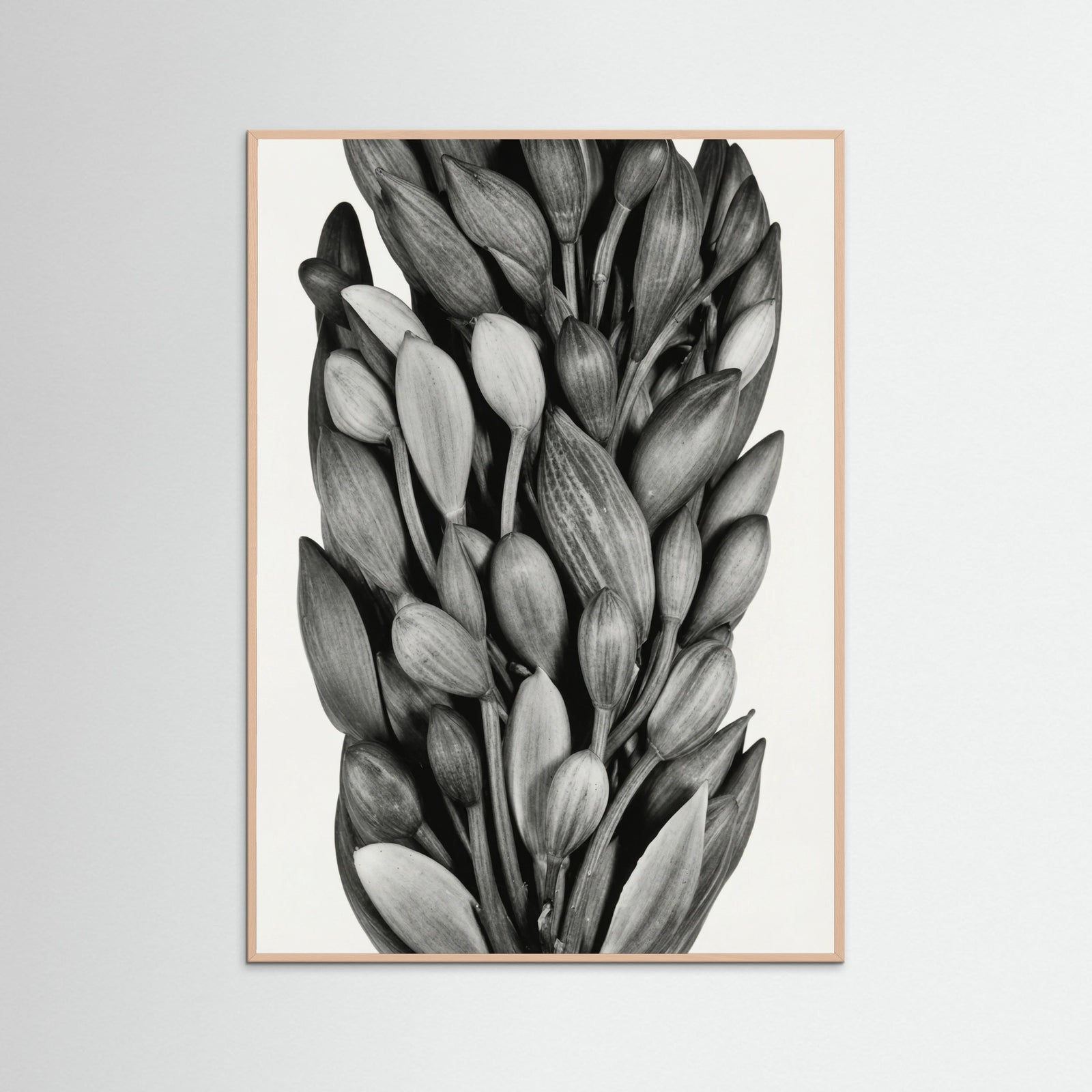 Rose Wood Budding Forms