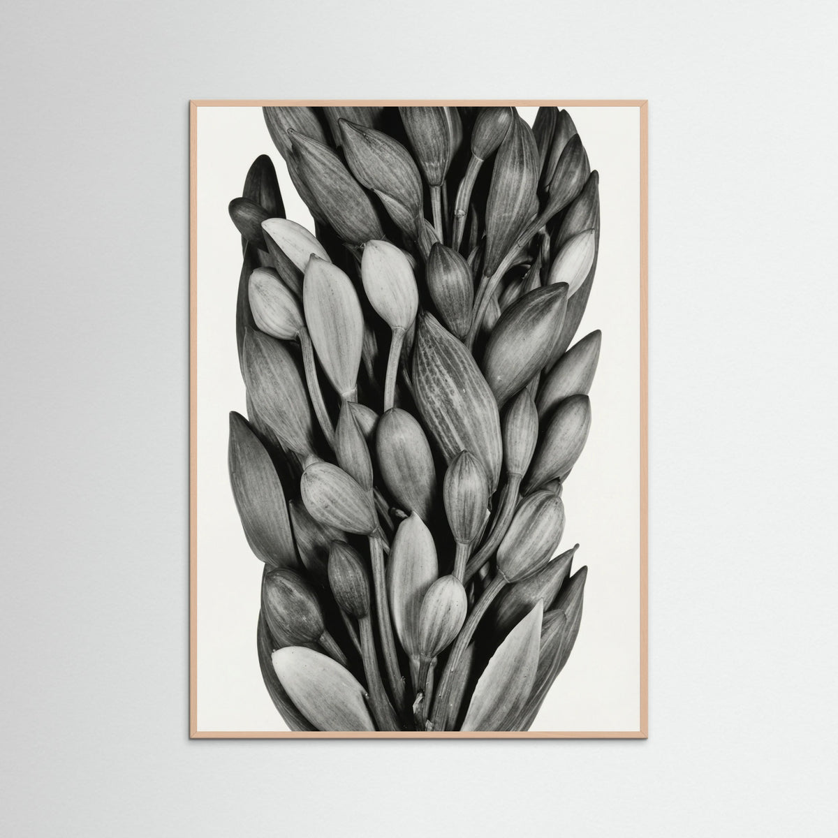 Rose Wood Budding Forms