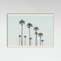 Póster Cali Palms – póster e impresión artística