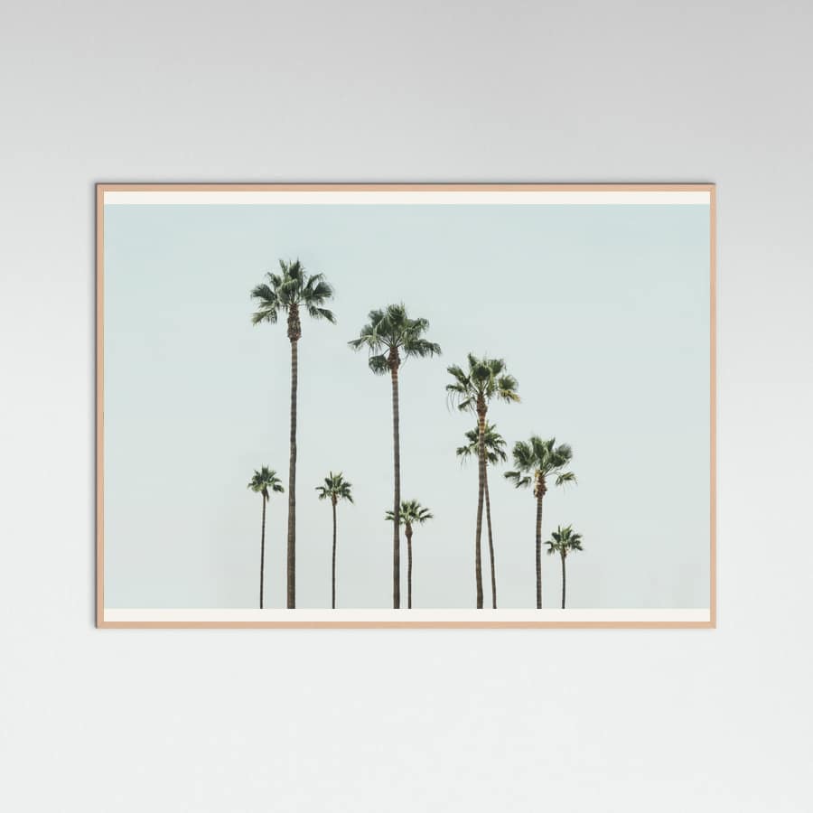 Póster Cali Palms – póster e impresión artística