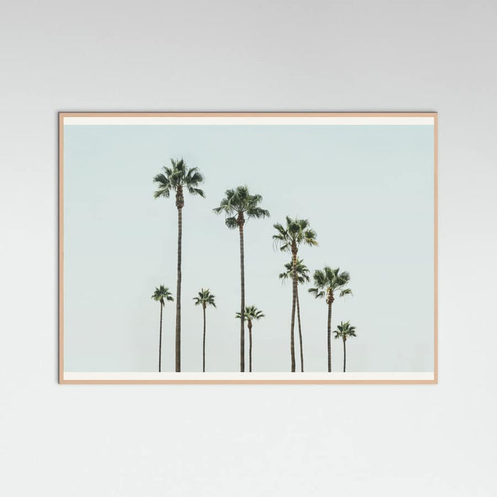 Póster Cali Palms – póster e impresión artística
