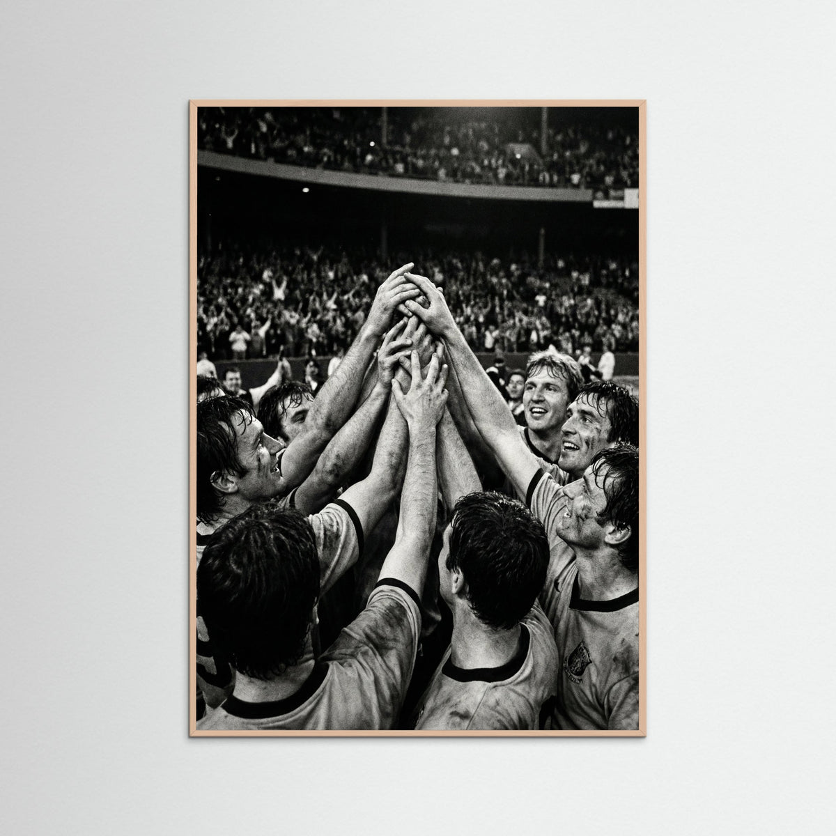 Rose Wood Champions Gaze