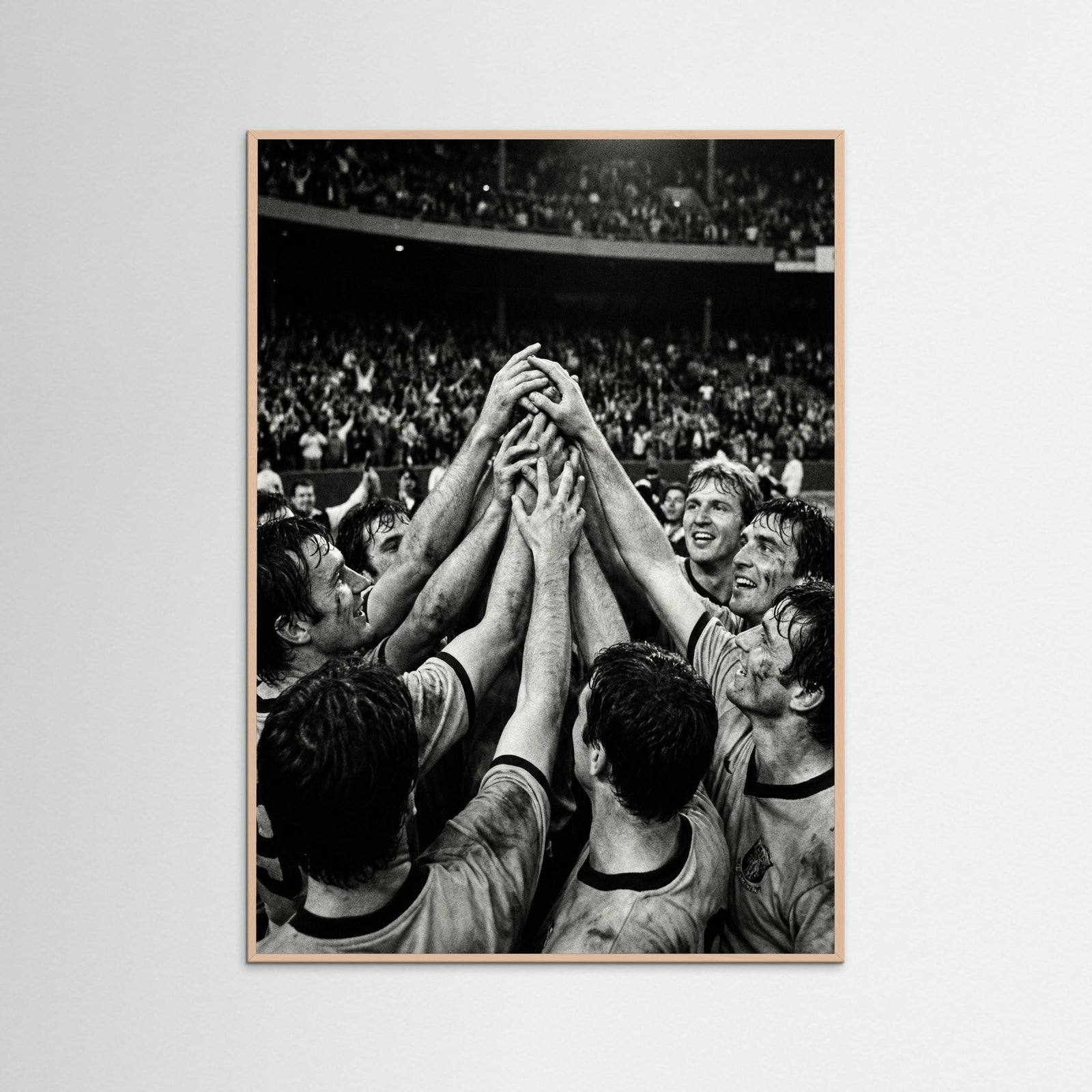 Rose Wood Champions Gaze