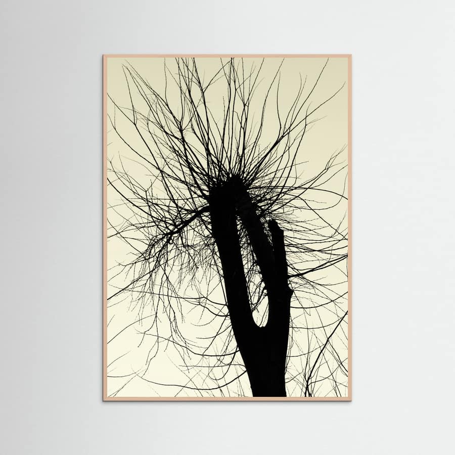 City Range 24 -juliste – juliste ja taidepainatus