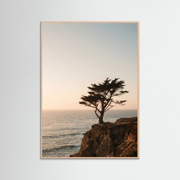 Rose Wood Coastal Horizon