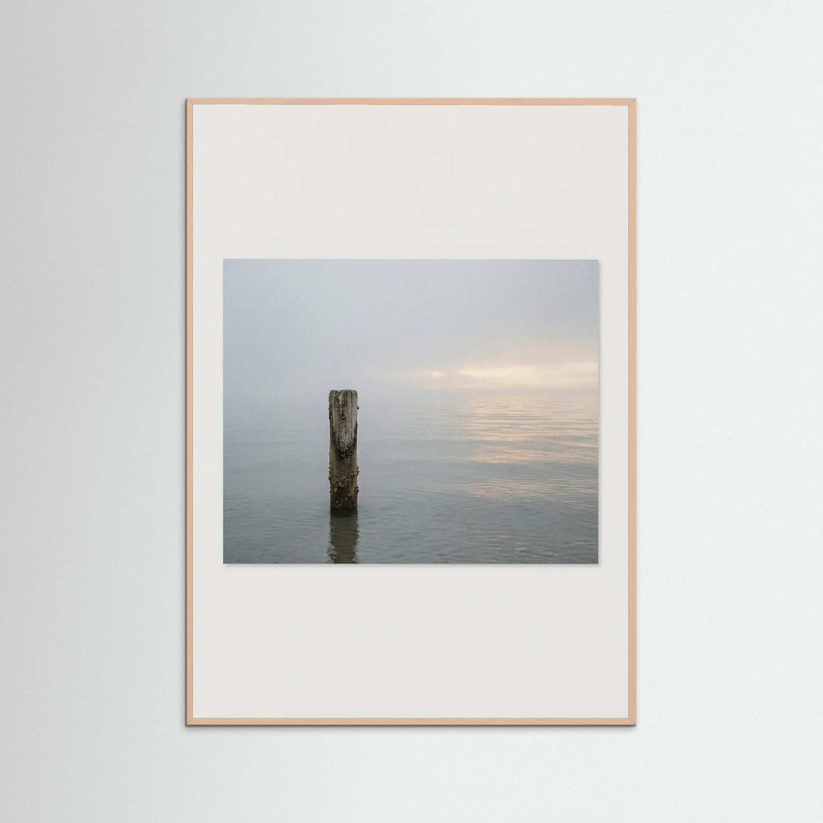 Rose Wood Coastal Paths