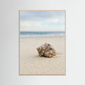 Rose Wood Coastal Serenity Beige