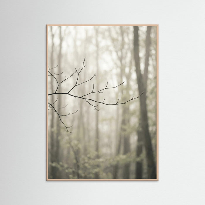 Rose Wood Coastal Serenity