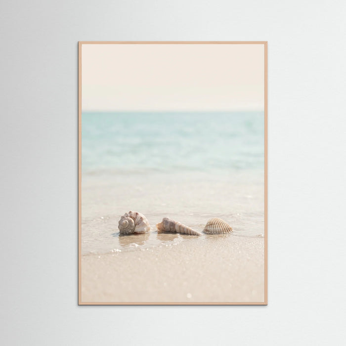 Rose Wood Coastals Serenity