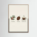 Rose Wood Coffee Brew Guide