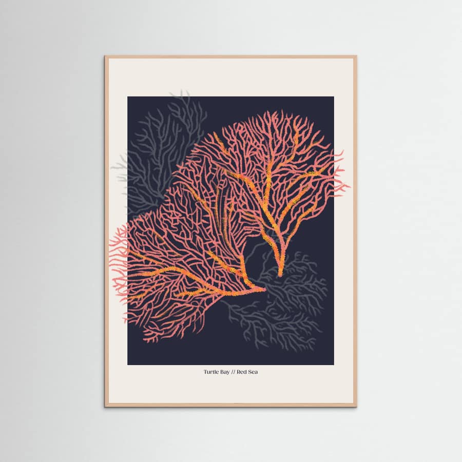 Affiche Coral Garden Turtle Bay – affiche et impression d’art
