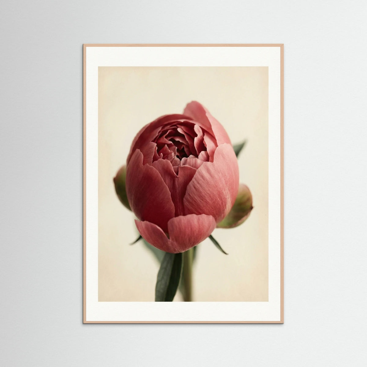 Rose Wood Crimson Trio