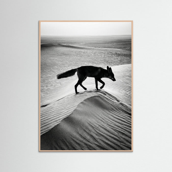 Rose Wood Desert Spirit