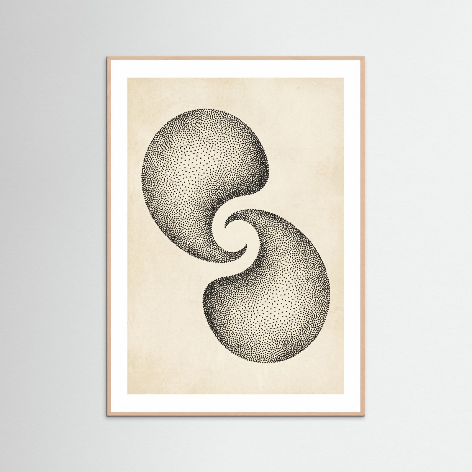 Rose Wood Dotted Cosmos