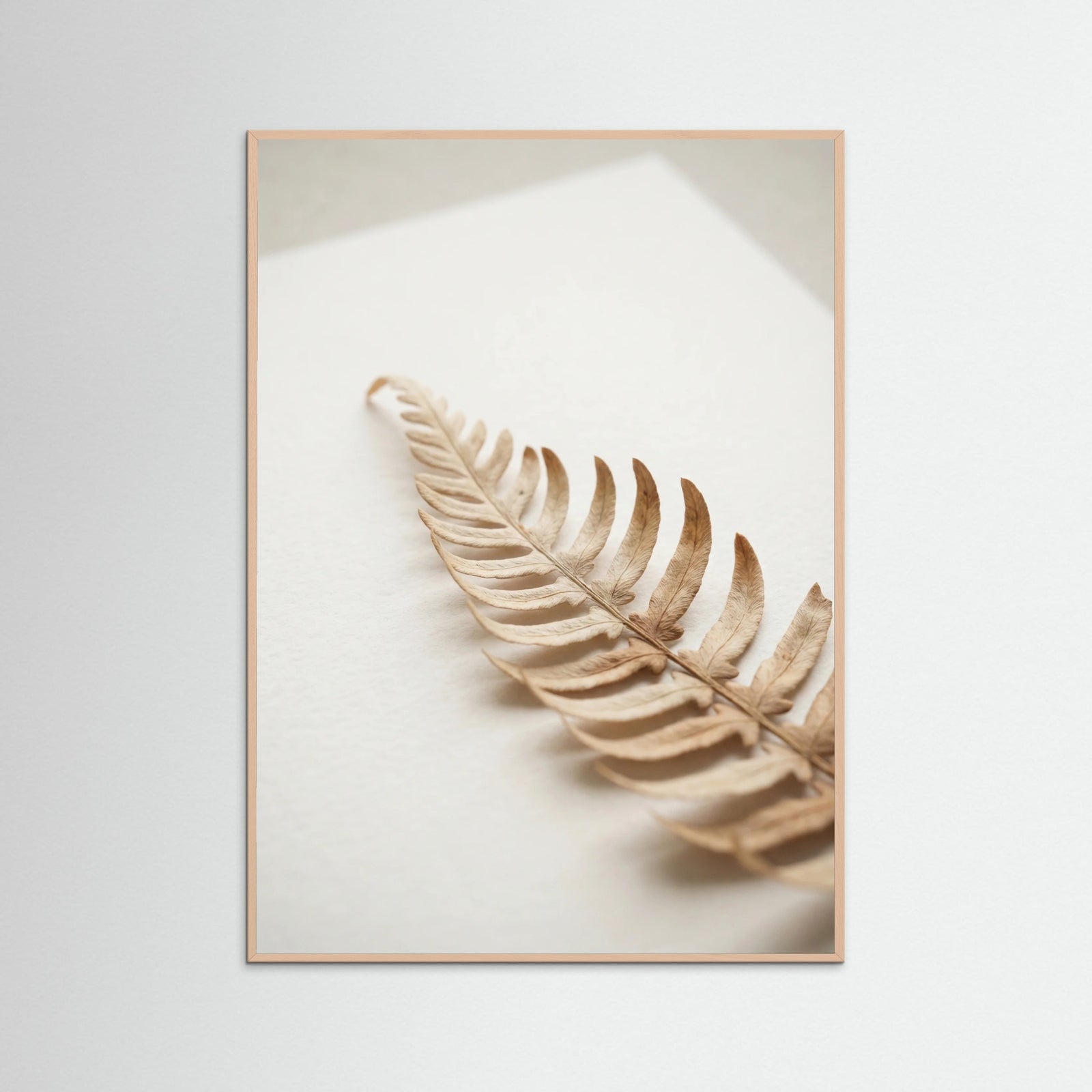 Rose Wood Dried Serenity