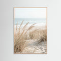 Rose Wood Dune Path Serenity