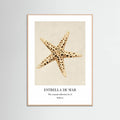 Affiche Estrella De Mar – affiche et impression d’art