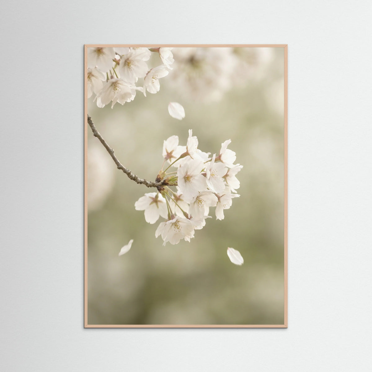 Rose Wood Ethereal Bloom White