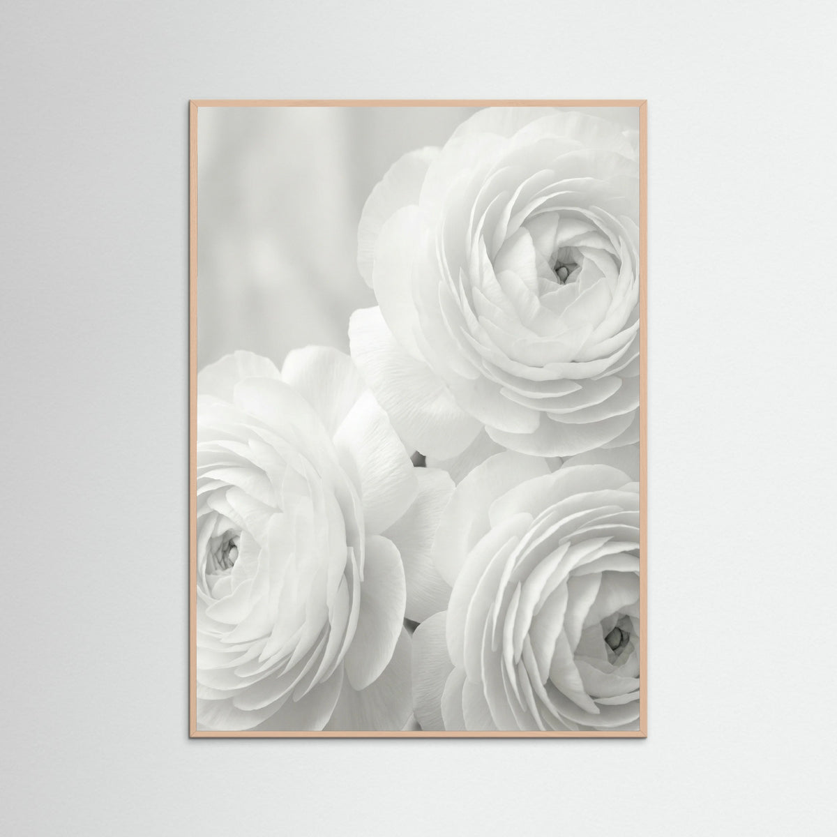 Rose Wood Ethereal Bloom