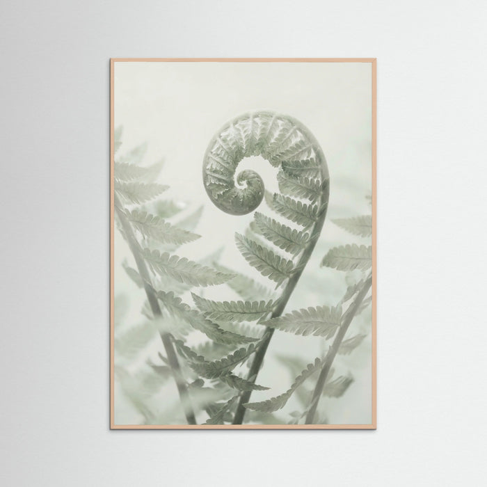Rose Wood Ethereal Eucalyptus