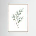 Rose Wood Eucalyptus Serenity