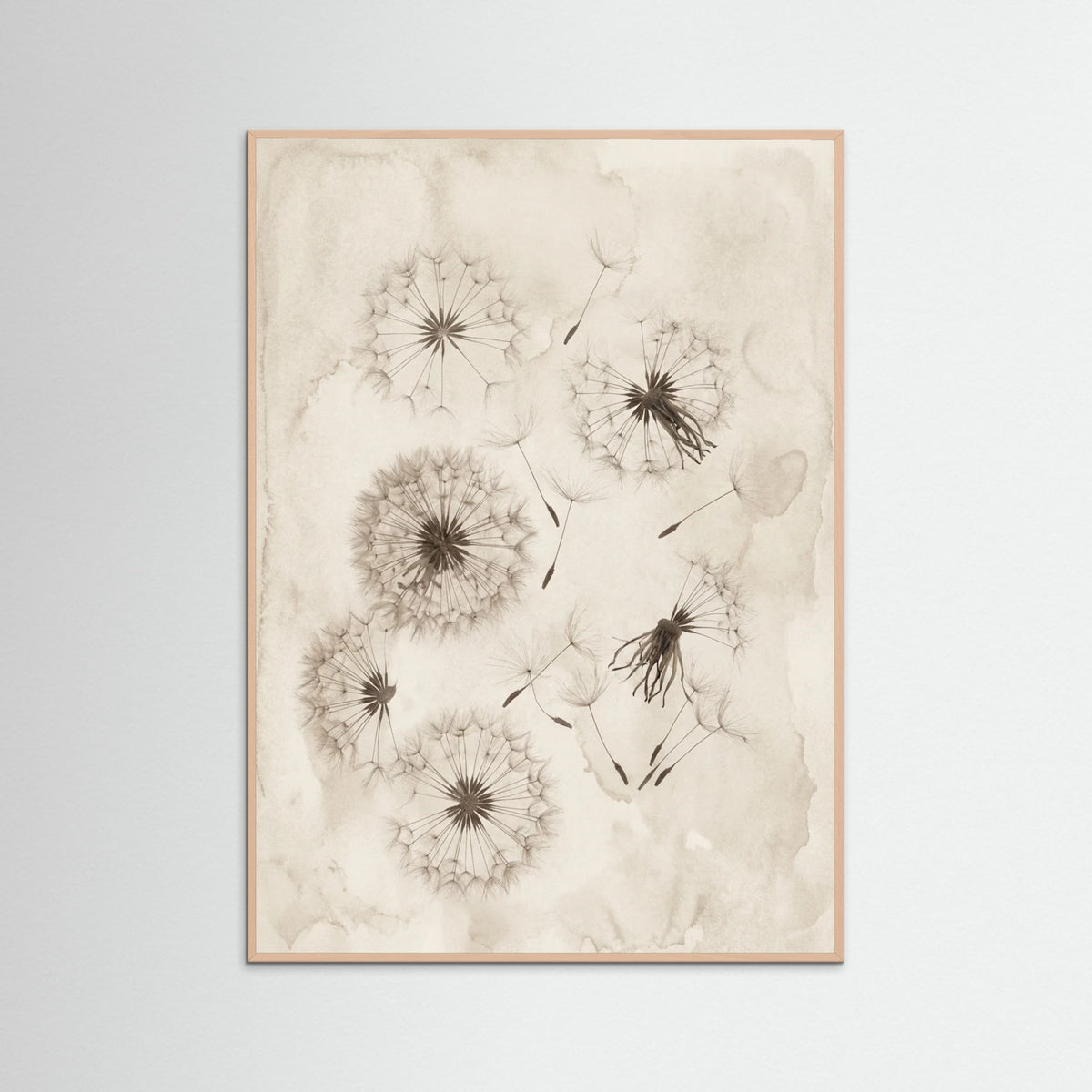 Rose Wood Fading Botanicals