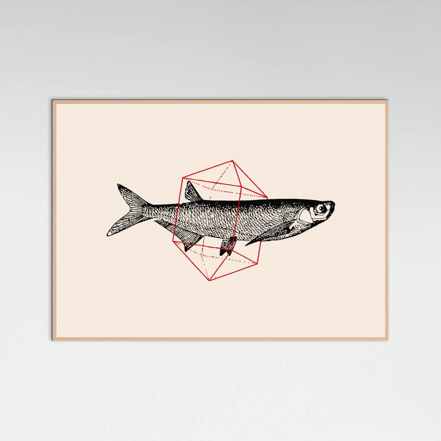 Fish In Geometrics Nº2 Poster – plakat og kunsttryk