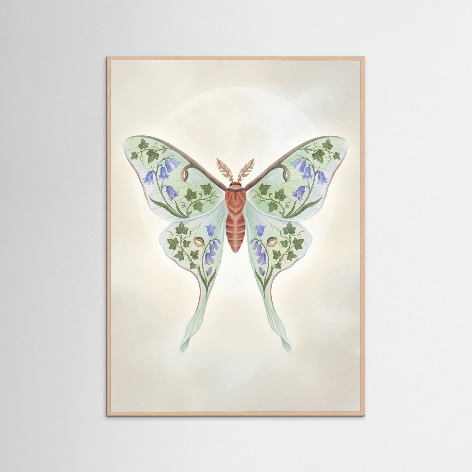 Rose Wood Floral Moth Study