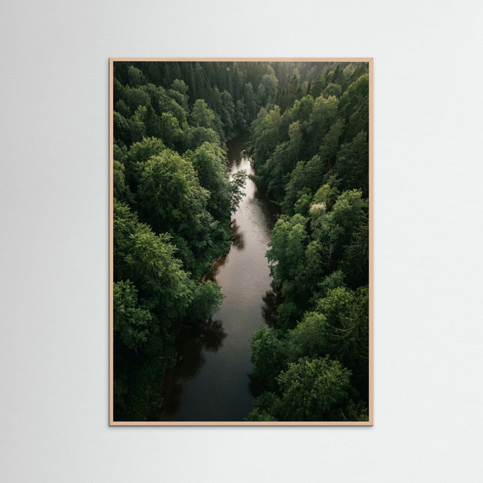 Rose Wood Forest Traverse
