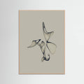 Poster Free Torus - 1 – poster e stampa artistica