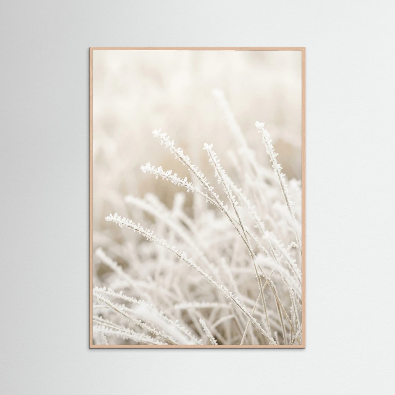 Rose Wood Frosted Whispers