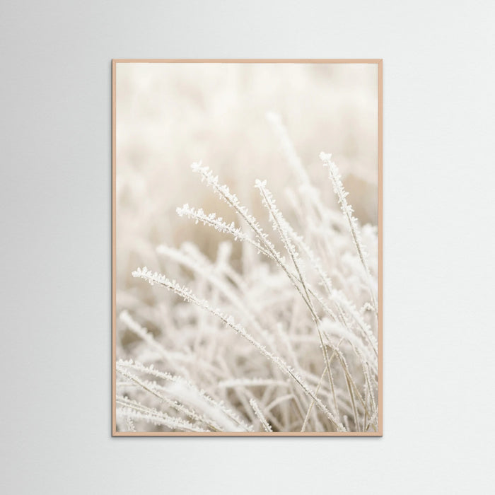 Rose Wood Frosted Whispers