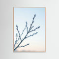 Rose Wood Frozen Whisper