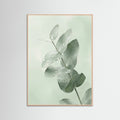 Rose Wood Ginkgo Dew