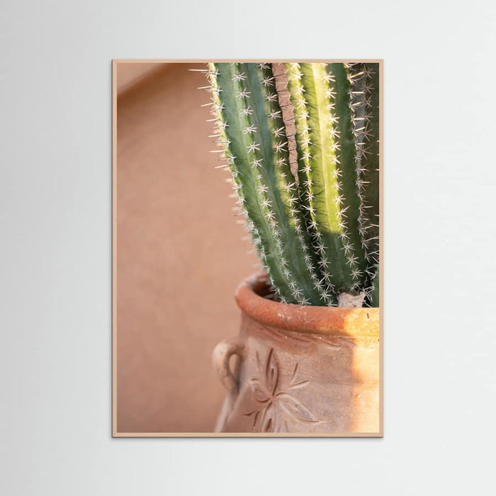 Rose Wood Green On Orange | Marrakech Travel Photography Poster