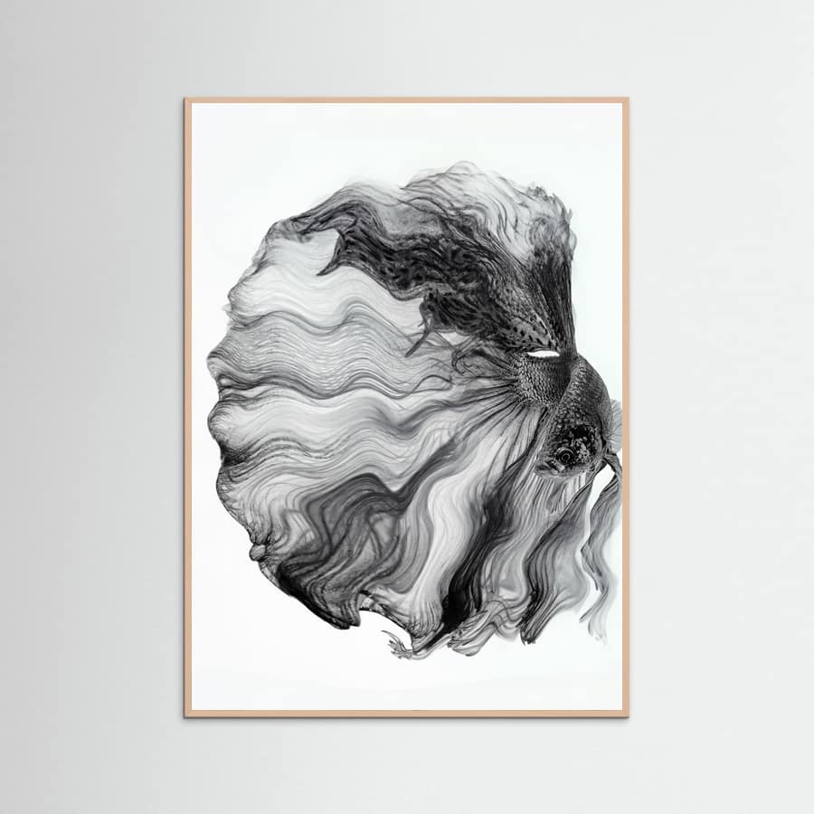 Plakat INK BETTA – plakat i druk artystyczny