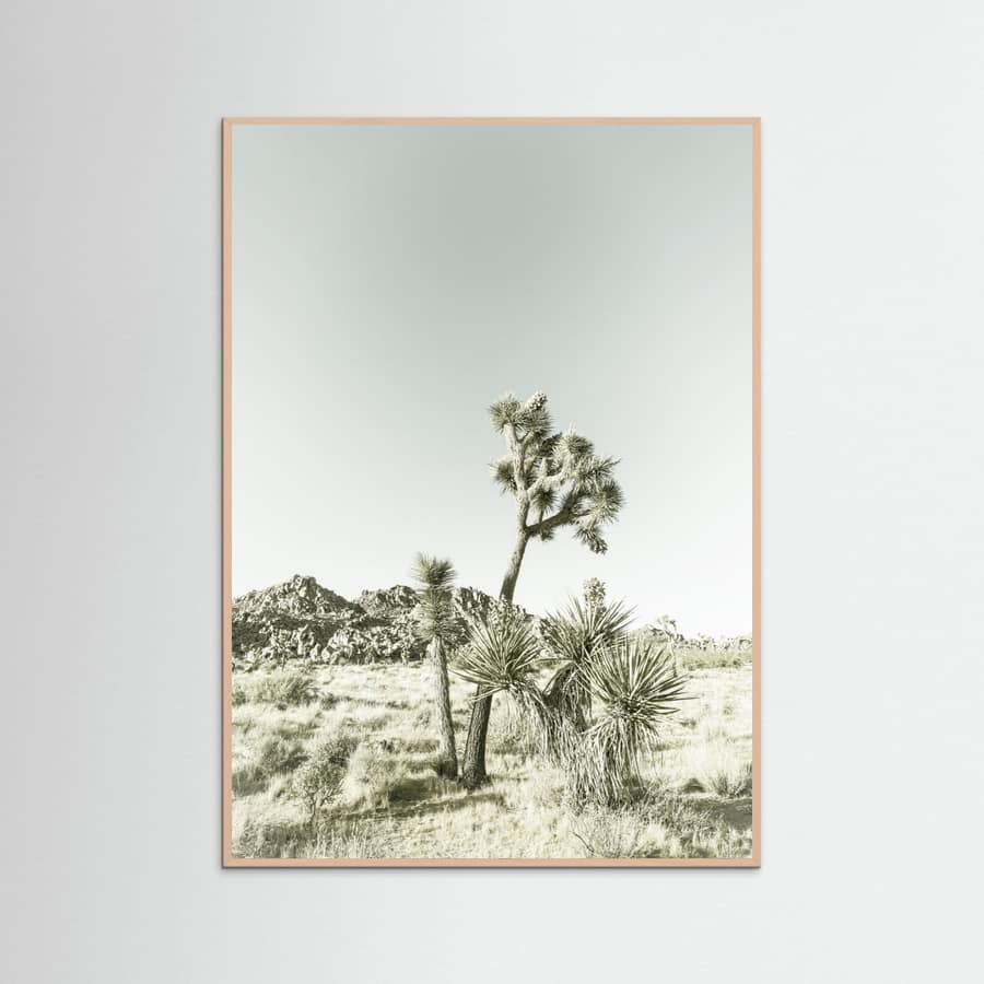 Rose Wood Joshua Tree National Park Vintage Impression Poster