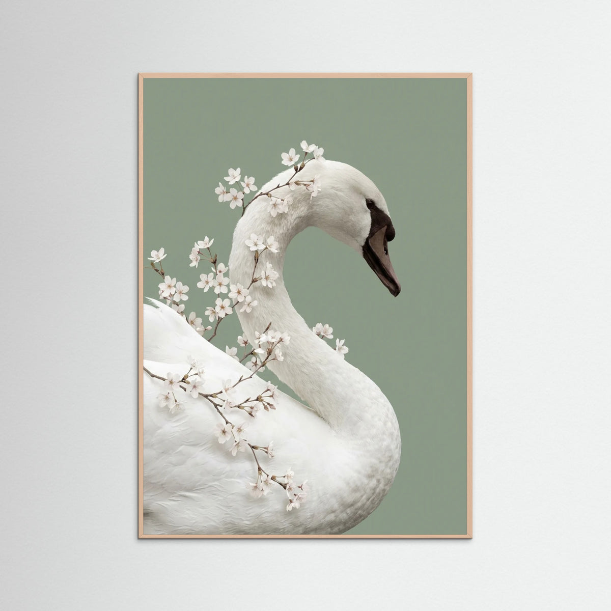 Rose Wood Lilys Whisper