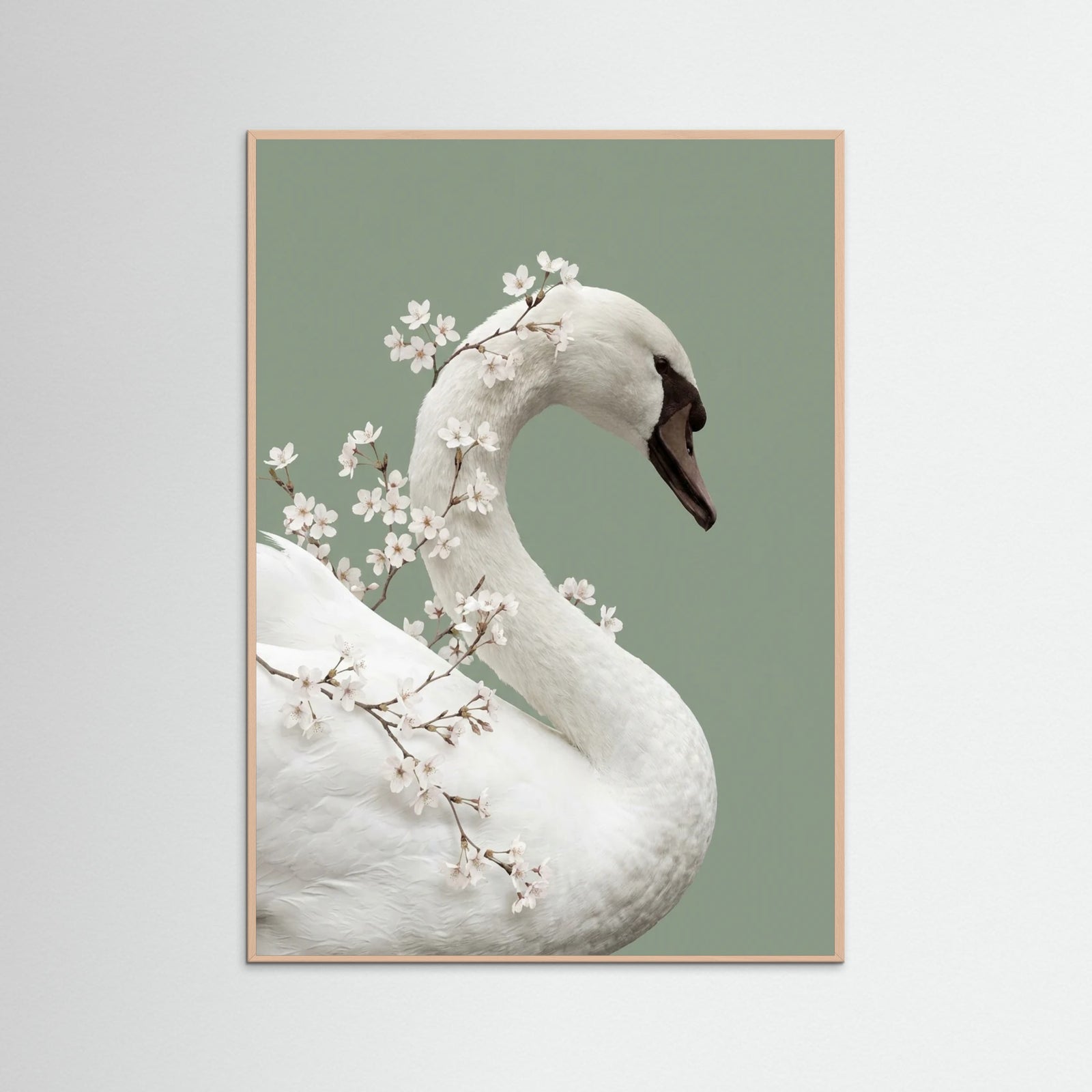 Rose Wood Lilys Whisper