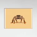 Rose Wood Lydia the Leggiest Cowgirl Spider Poster